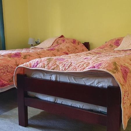 Apartment Roxana Centar Novi Sad Buitenkant foto