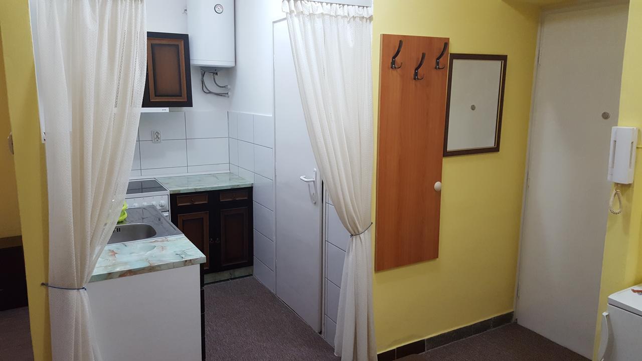 Apartment Roxana Centar Novi Sad Buitenkant foto