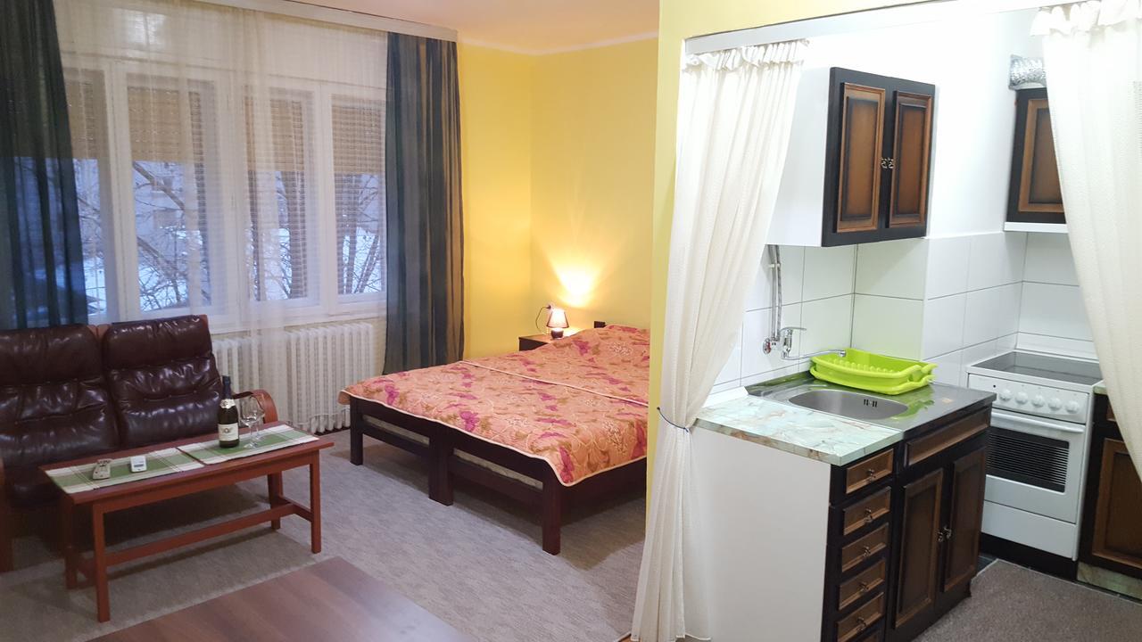 Apartment Roxana Centar Novi Sad Buitenkant foto